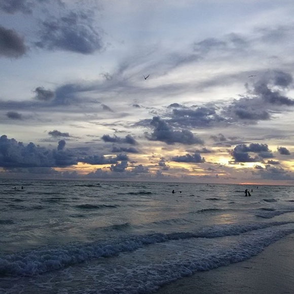 Meet your Posher, Cynthia - Picture 3 of 3